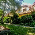 Centrum Apartman